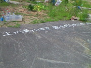 201208251201000.jpg