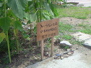 201208251203000.jpg