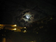 201210310505000.jpg