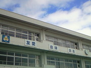 201211101216000.jpg