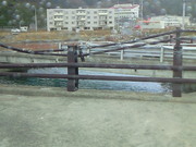 201211101207000.jpg