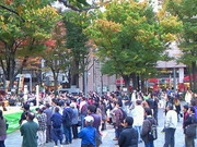 201211111417000.jpg