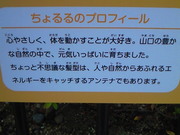 201211131639001.jpg