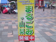 201211171024000.jpg