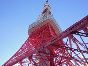 201211181110000.jpg