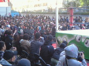 201211181408001.jpg