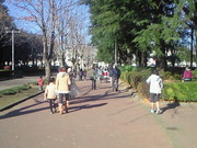 201211250944000.jpg