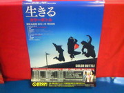 201301111331001.jpg