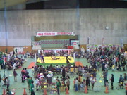 201303231532000.jpg