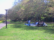 201304071329000.jpg