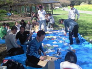 201304071328000.jpg
