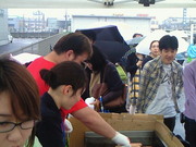 201305111248001.jpg