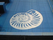 201307140624000.jpg