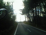 201311081525000.jpg