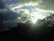 201311081524000.jpg