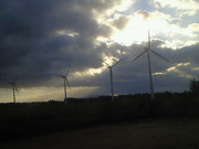 201311081528000.jpg