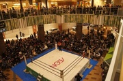 IMG_9856.jpg