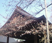 201403281230000.jpg