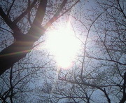 201403281229002.jpg