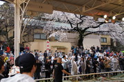 NEC_0180.jpg