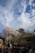 NEC_0182.jpg